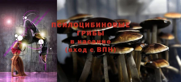 Альфа ПВП Богородицк