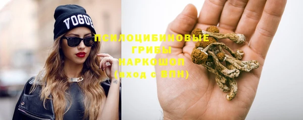 Альфа ПВП Богородицк