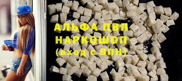 дмт Богданович