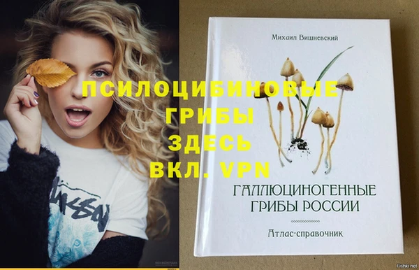 Альфа ПВП Богородицк