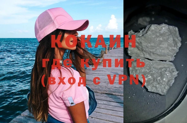 дмт Богданович