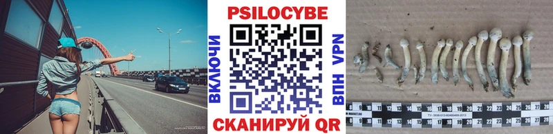 Галлюциногенные грибы прущие грибы  mega tor  Чудово 